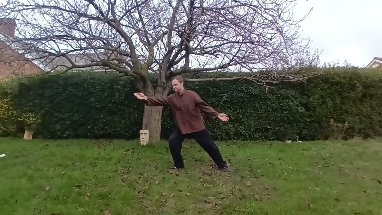 Cloud Dragon Tai Chi Online Patreon.com