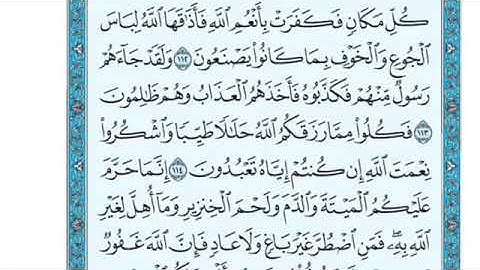 تلاوة سورة النحل من الآية 114 إلى الآية 117