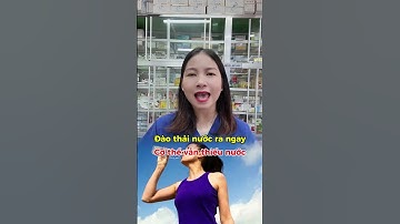 Uống đủ nước nhưng cơ thể vẫn thiếu nước lý do tại sao? | Dược Sĩ Hiếu #short #shorts #duocsihieu