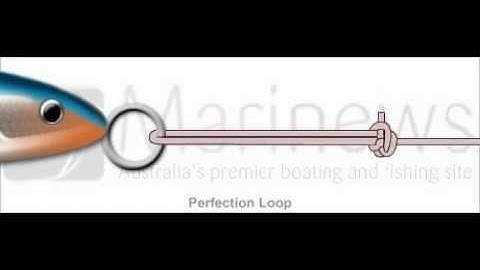 How to Tie Perfection Loop Knot