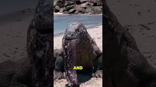 5 Real Shocking Animal Moments That Happened