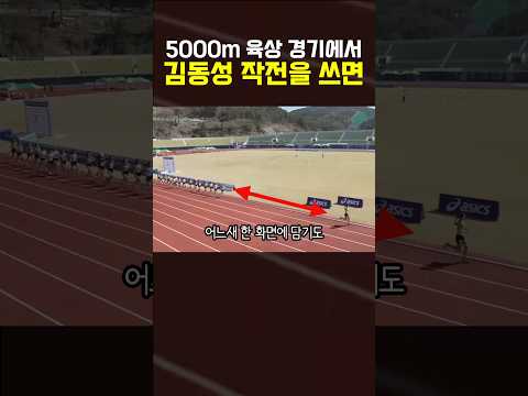 5000m 육상에서 <strong>김동성</strong> 작전을 쓰면 벌어지는 일