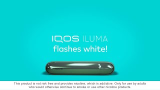 Iqos Canada What Do White Flashing Lights On My Iqos Iluma Mean?