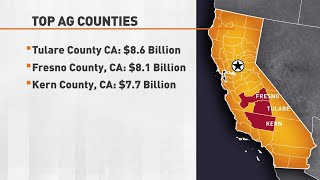 Tulare County, California: Leading the Nation in Agricultural Production