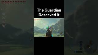 What is Breath of the Wild Even About 😭