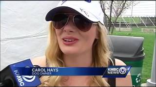 Fans bring pets to Kauffman Stadium for Bark in the Park