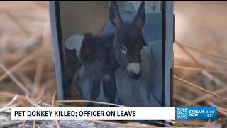 Pet donkey killed by police officer in Cedartown