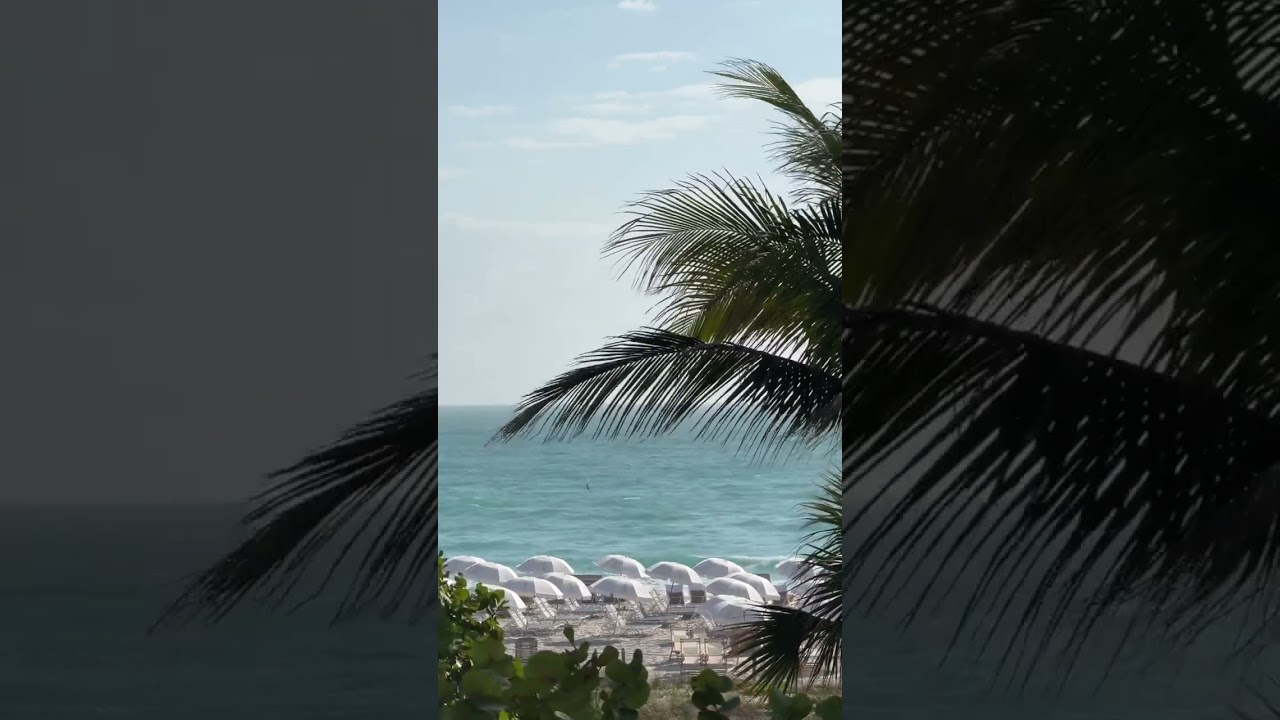 Breezy State of Mind at 1 Hotel & Homes South Beach