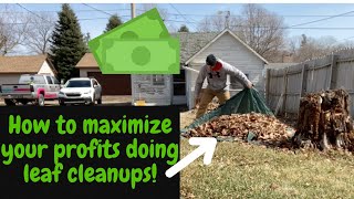 Great Thing To Add For Leaf Cleanups!! (RECOMMENDED)
