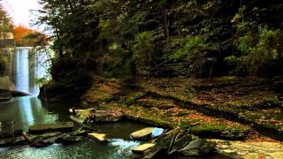 IMG 3258h264