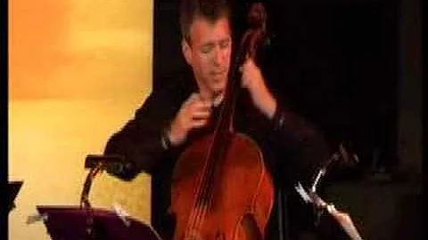 Julie-O by Mark Summer (Cellist from Turtle Island...