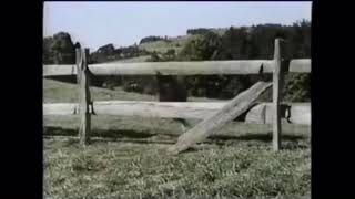 Babe TV Spot 2