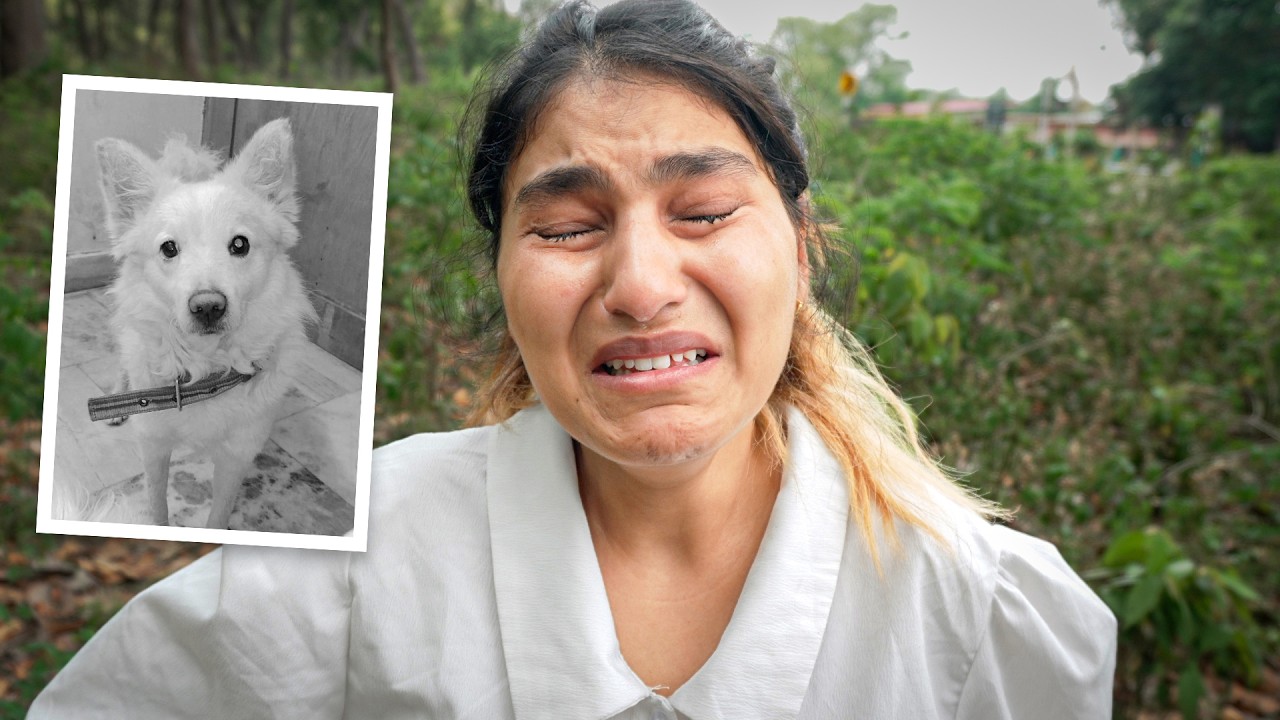 Original Title & Thumbnail