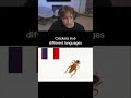 Crickets in 6 different languages