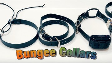 Bungee Collars Options for E-Collars.