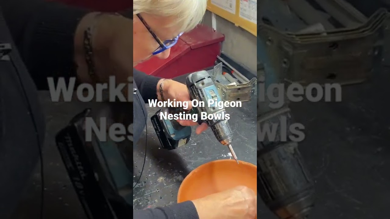 Working On Pigeon Nesting Bowl