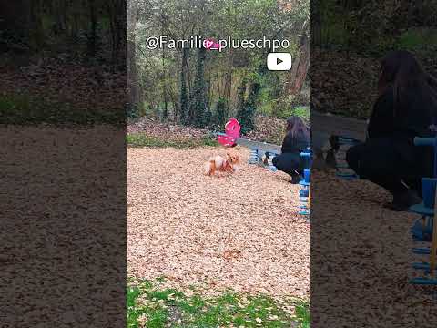 die ist Gefährlich 😱