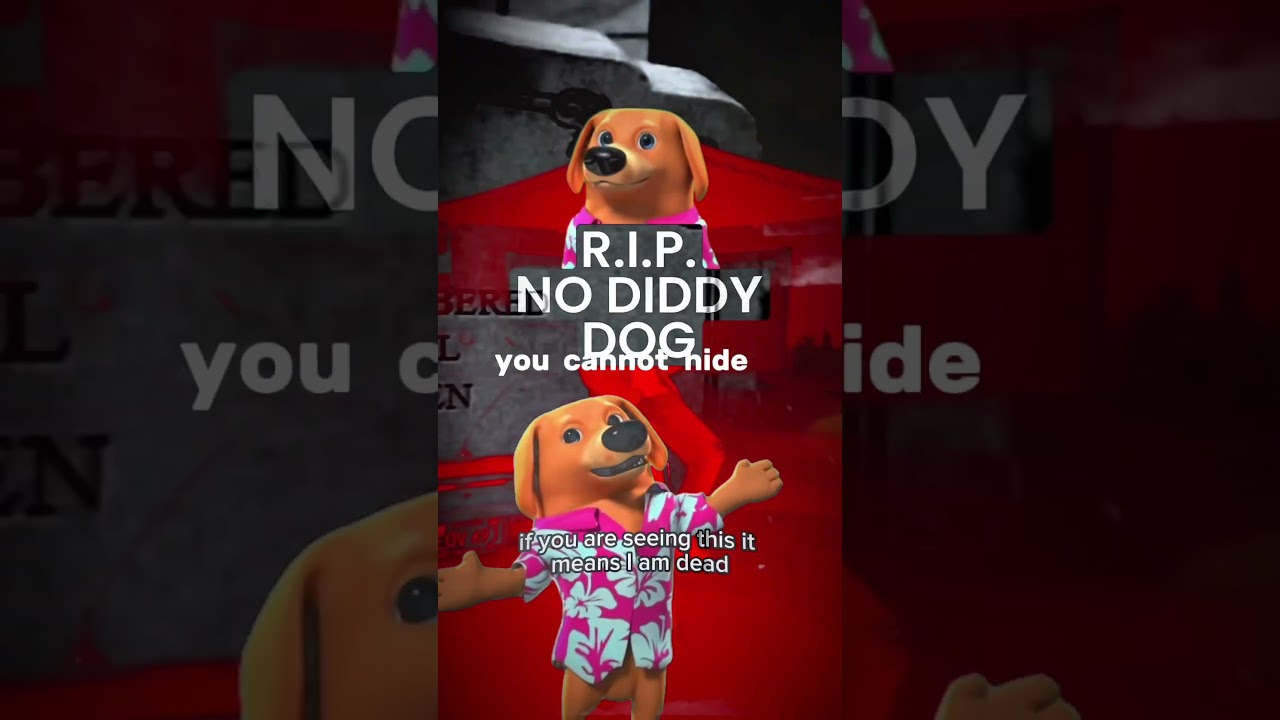 No Diddy dog