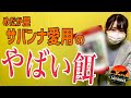 めだか屋サバンナが愛用してるやばい餌！