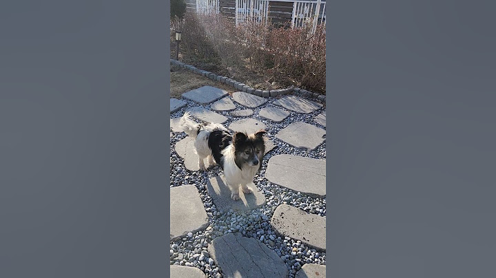 오늘의 주인공 영리한 개리^^