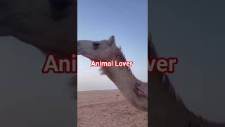 Camale Lover #virelvideo #treding #minivlog #love