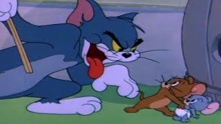 Tom And Jerry - Safety Second - Top Games & Movies