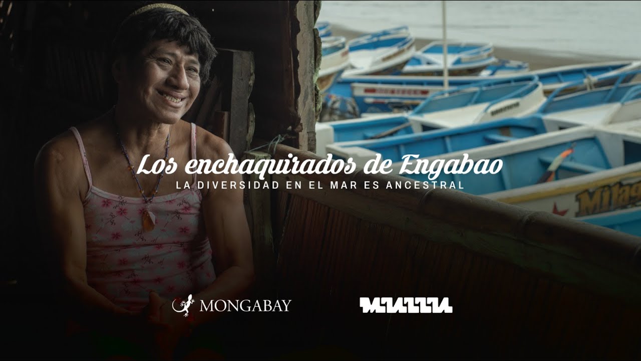 Los Enchaquirados de Engabao