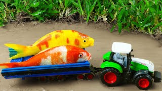 Trucks Rescue KOI Fish Under Mud Experiment Primer Mud | Fun Animation | Stop Motion Cooking &amp; ASMR
