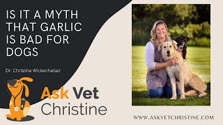 Is it a myth that garlic is bad for dogs? Is Garlic Bad For Dogs Here S The Surprising Truth