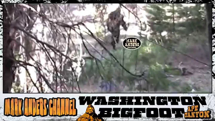 Washington Bigfoot Ape Canyon HD