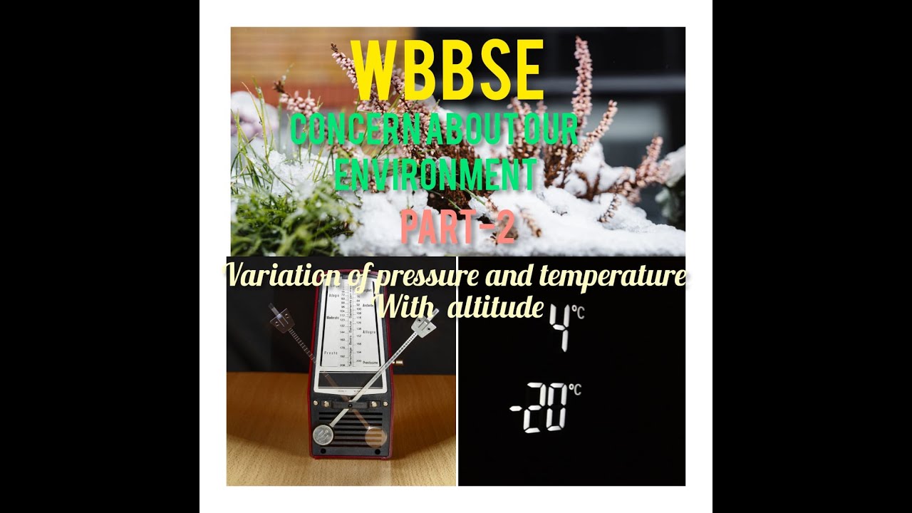 wbbse
