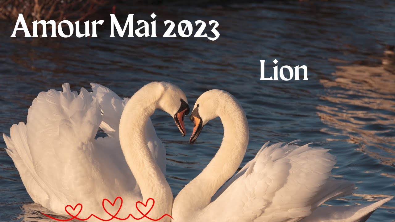 Lion Amour Mai 2023, Vous allez vous revoir! Attention! L' Amour vous