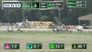 RACE 5 PROGRAM 8 29 2025