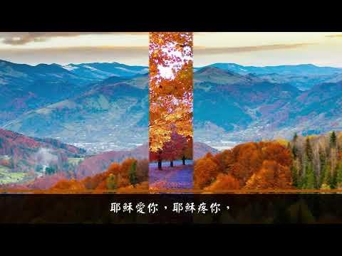 全新的你   (伴奏版)