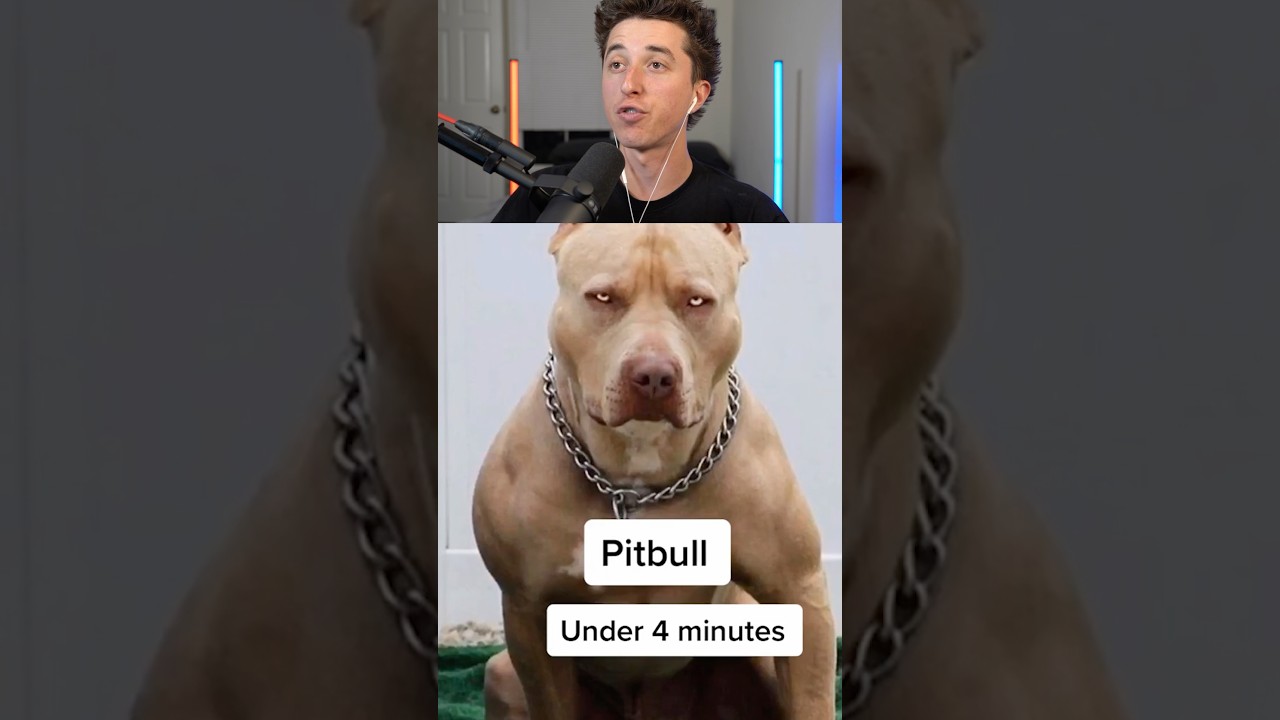 Most Dangerous Dogs 🤯⚠️🤯