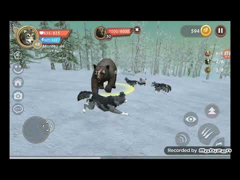 لعبه الذئب الجزء الاول 