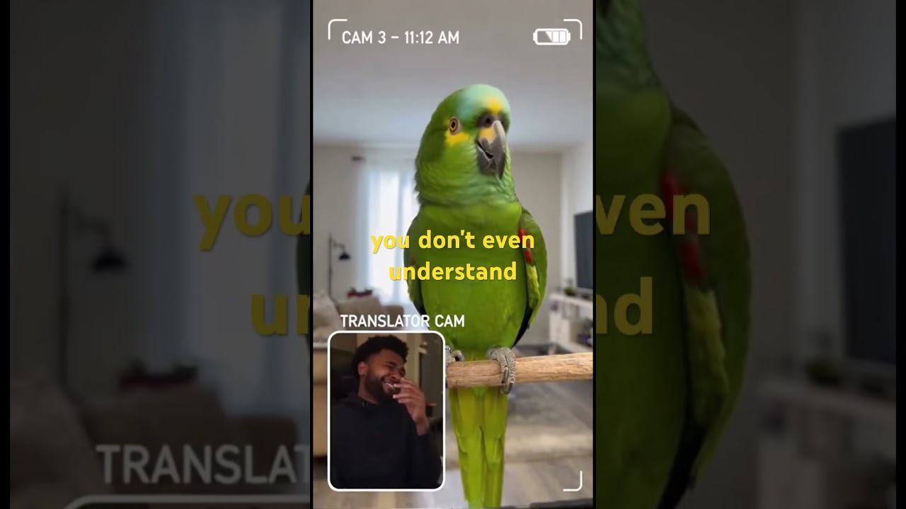 Parrot No Privacy 🦜📱 