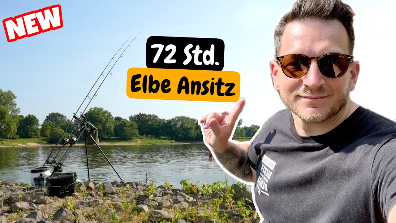 Welsangeln in der Elbe Der Mega Ansitz