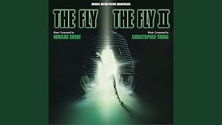 The Stairs (From "The Fly")
