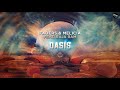 Faders & Melicia feat Raja Ram - Oasis