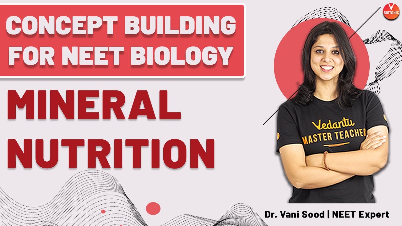 How to Remember Mineral Nutrition Class 11 Biology with Mind Maps By Dr