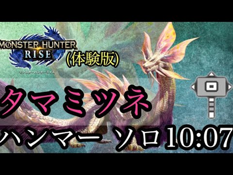 【MHRise Demo】タマミツネ討伐 ハンマー ソロ 10:07/Mizutsune Hammer solo【モンハンライズ体験版】