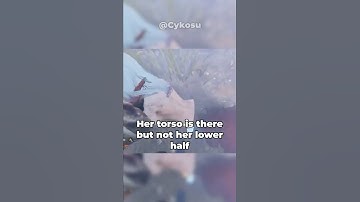 These 4 New Bugs Are Crazy in DBD! #dbd #deadbydaylight #gaming #shorts #dbdshorts #funny #viral