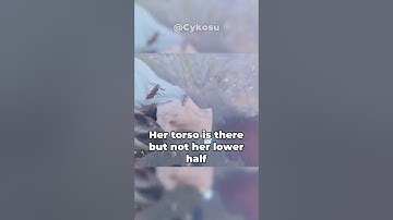 These 4 New Bugs Are Crazy in DBD! #dbd #deadbydaylight #gaming #shorts #dbdshorts #funny #viral