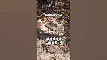 Would you ever think to look THERE for a hidden cache?! 👀