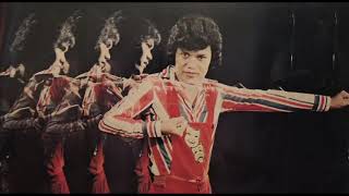 Roselan Yus - Pendekar Mustar (Malaysian Kung Fu Fighting cover)