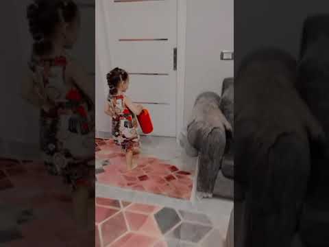 هاتوا الفلوس اللي عليكوا 