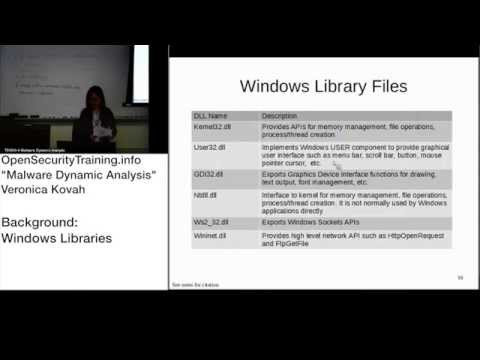 Dynamic Malware Analysis