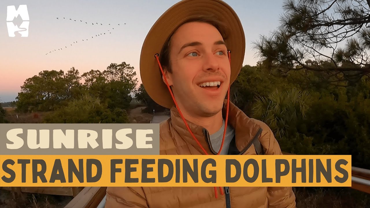 Kiawah Island Sunrise & Bottlenose Dolphins