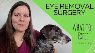 Healing After Eye Surgery- What To Expect